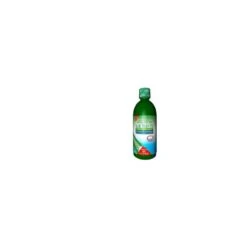ALOE VERA SUCCO 1000ML OFS