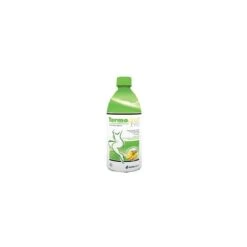 SHEDIR PHARMA Srl Unipersonale TERMODREN EVO ANANAS 500ML